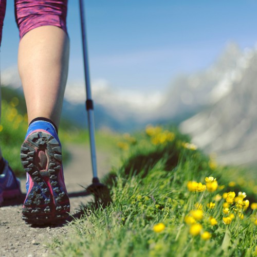 berg wandelen zomer